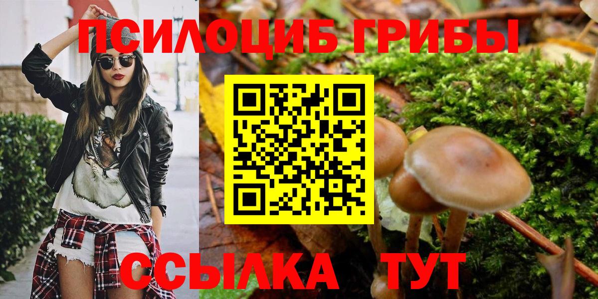Моздок  Галлюциногенные грибы GOLDEN TEACHER  Вход с VPN 